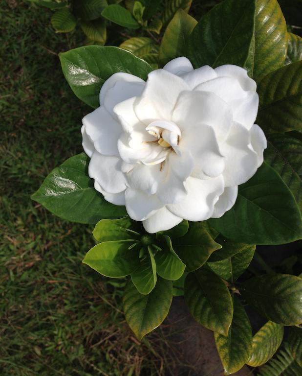 Heavenly Hana Paradise ห้อง รูปภาพ