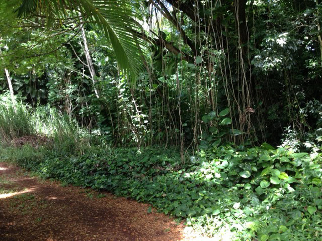 Heavenly Hana Paradise ห้อง รูปภาพ